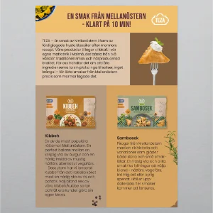 Teza Informationsblad omslagsbild